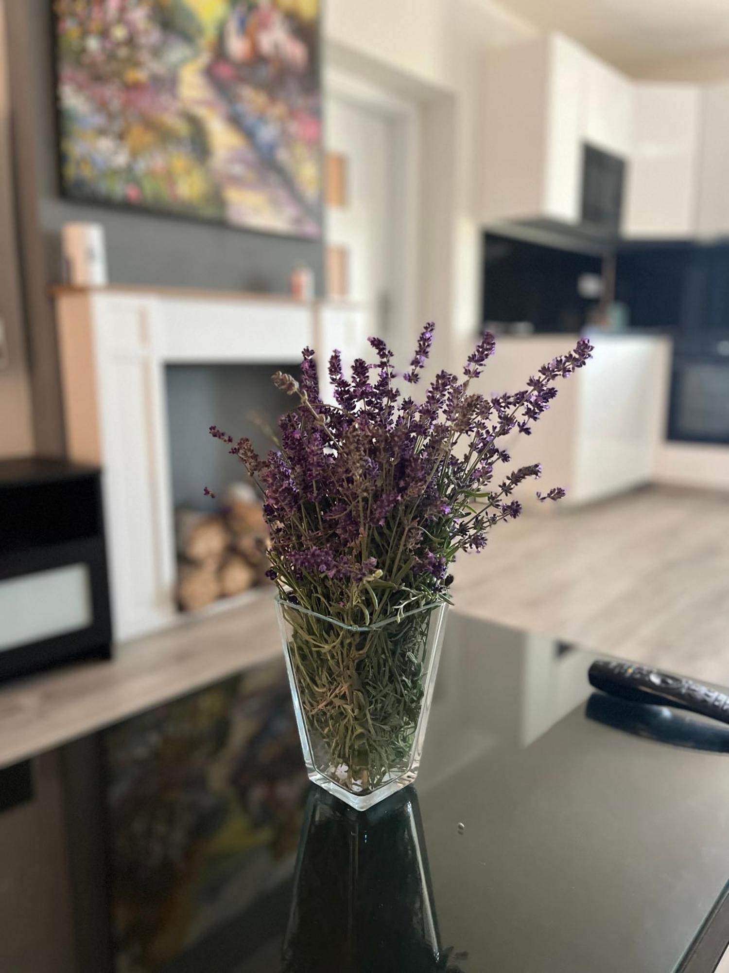 Apartment Golden Prague 78 Vestec  ภายนอก รูปภาพ